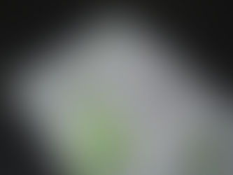 行ってみよう・・・