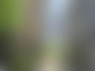 修学旅行で思うこと