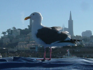 フイルターのお話