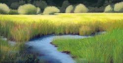 Jeanette Rehahn
