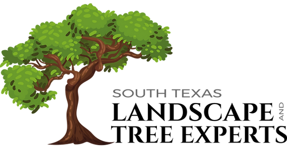 South Texas Landscape and Tree Experts Logo