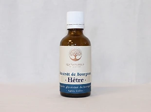 Macérât de bourgeons de hêtre
