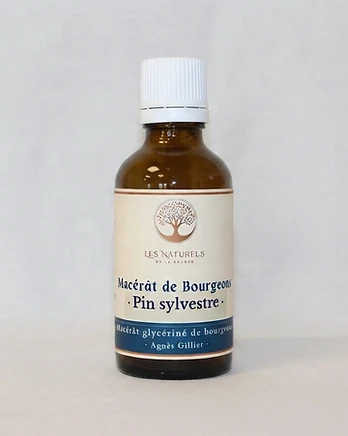Macérât de bourgeons de pin sylvestre