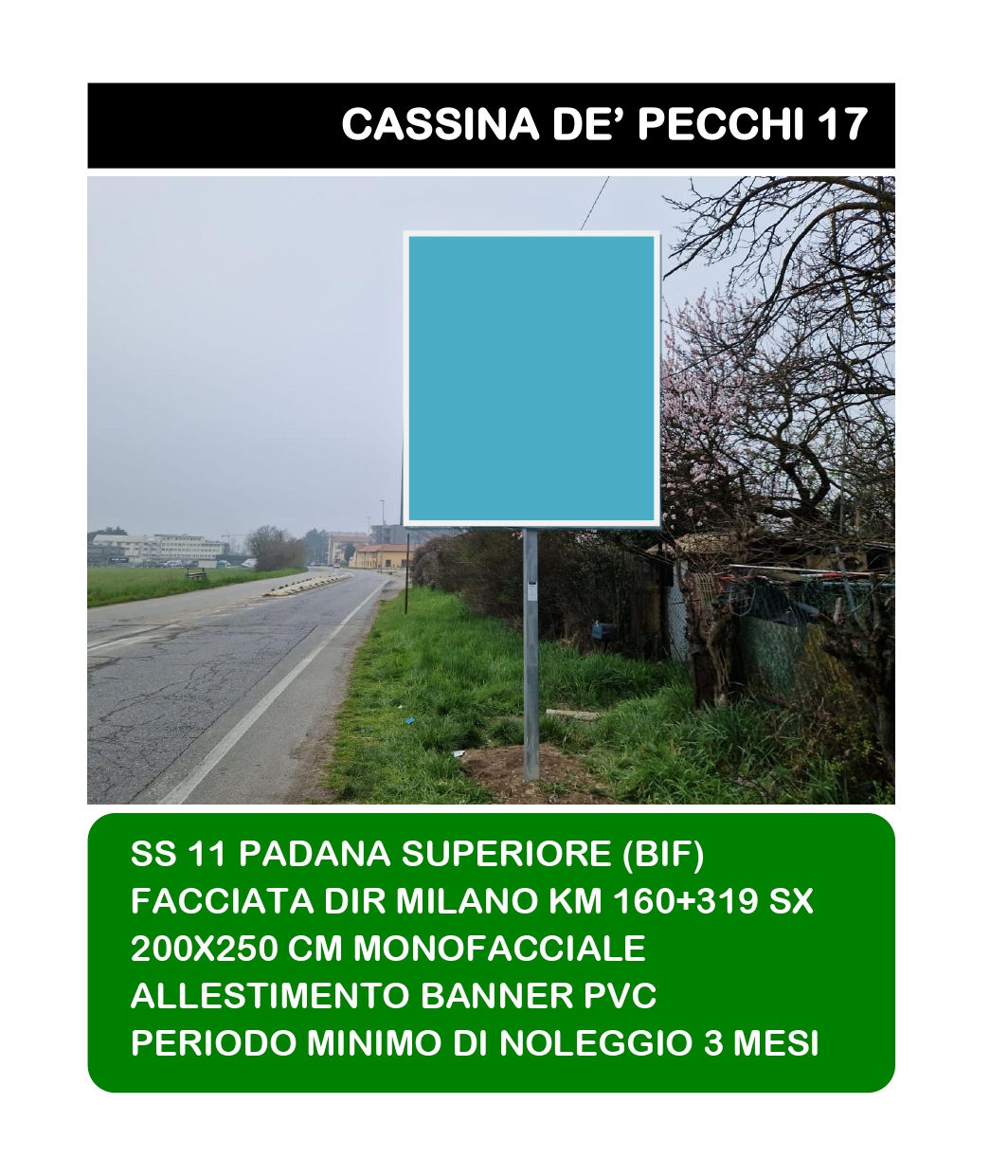 CASSINA DE' PECCHI 17 (formato 200x250 cm)