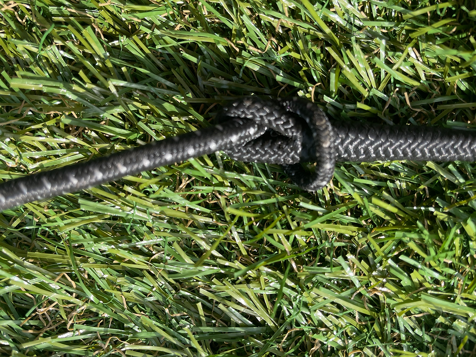 Thumbnail: British Made Leather Handle Polo Whip