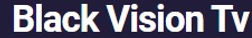 Black Vision TV logo.jpg