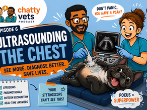 Ep 6 - A FEW WORDS... Ultrasounding the chest in dyspnoea  