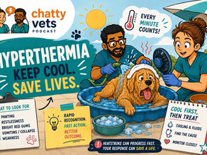 Ep 6 - A FEW WORDS... Managing Hyperthermia in Dogs