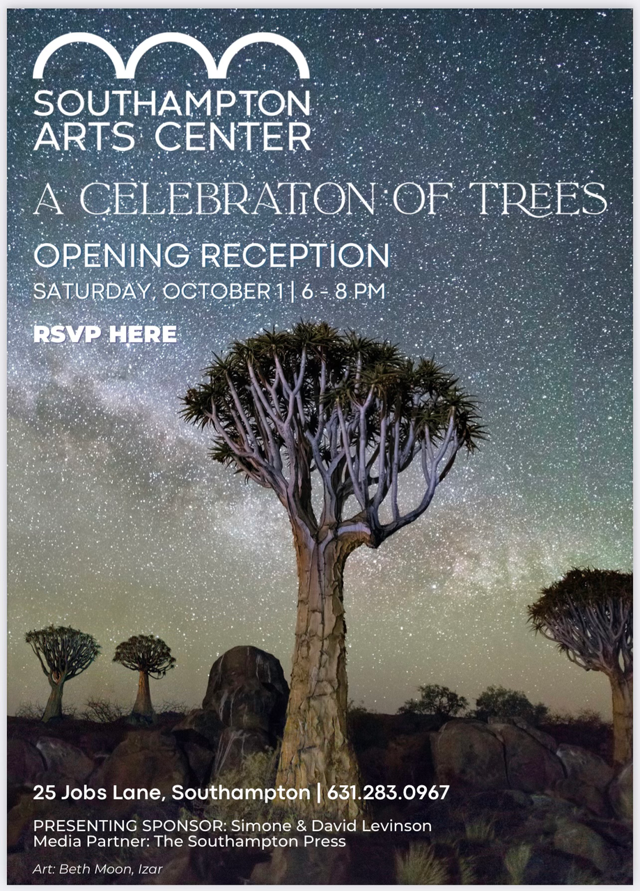 Explore Camilla's Exhibition at The Southamptons Art Center