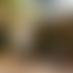 Cameron Mitchell’s Del Mar debuts in the Nora District