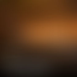 Sushi Garage announces new location at the nearly sold-out The Standard Residences