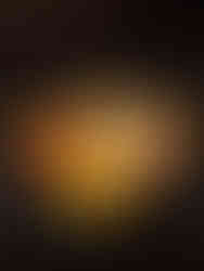 Kasumi Japanese Restaurant Boca Raton