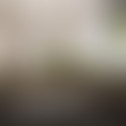 Highly-anticipated Beach Club at The Boca Raton reopens after $130 million redesign