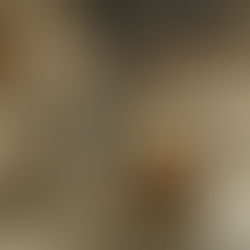 Erewhon unveils its nationwide expansion across key markets