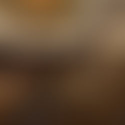 Riviera Dining Group unveils HONŌ, a new Japanese steakhouse and rooftop in downtown Miami