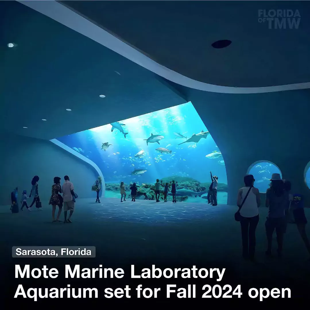 Mote Marine Laboratory and Aquarium set for Fall 2024 openhttps