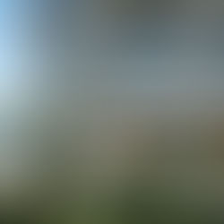 West Palm Beach's next waterfront tower is officially rising