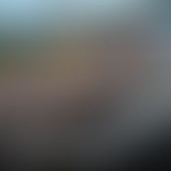 Alba Palm Beach ends 2024 on a high note as construction accelerates