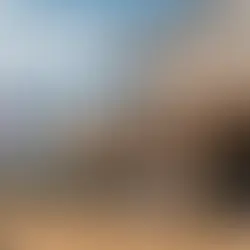 Edley's unveils bold new taco concept in Sylvan Park