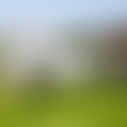 West Palm Beach is getting a massive new YMCA and aquatic campus