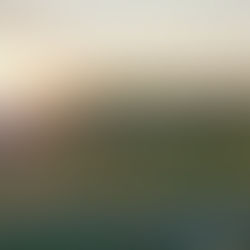 Oleada, a new oceanfront golf community, is rising in Los Cabos