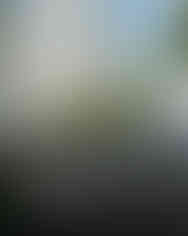 Ken Griffin reveals plans for Citadel's supertall Miami headquarters