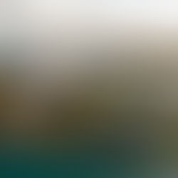 Bespoke unveils first turnkey estate on Fisher Island