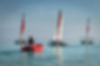 CNJ_Voile_102.jpg