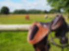Equestre_23.JPG