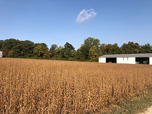 IMG_9132.JPG