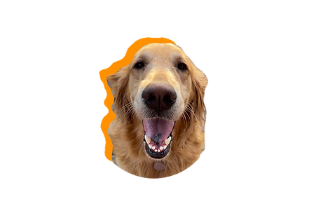 Lemon.png