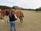 Is Acupuncture What Your Horse is Missing?