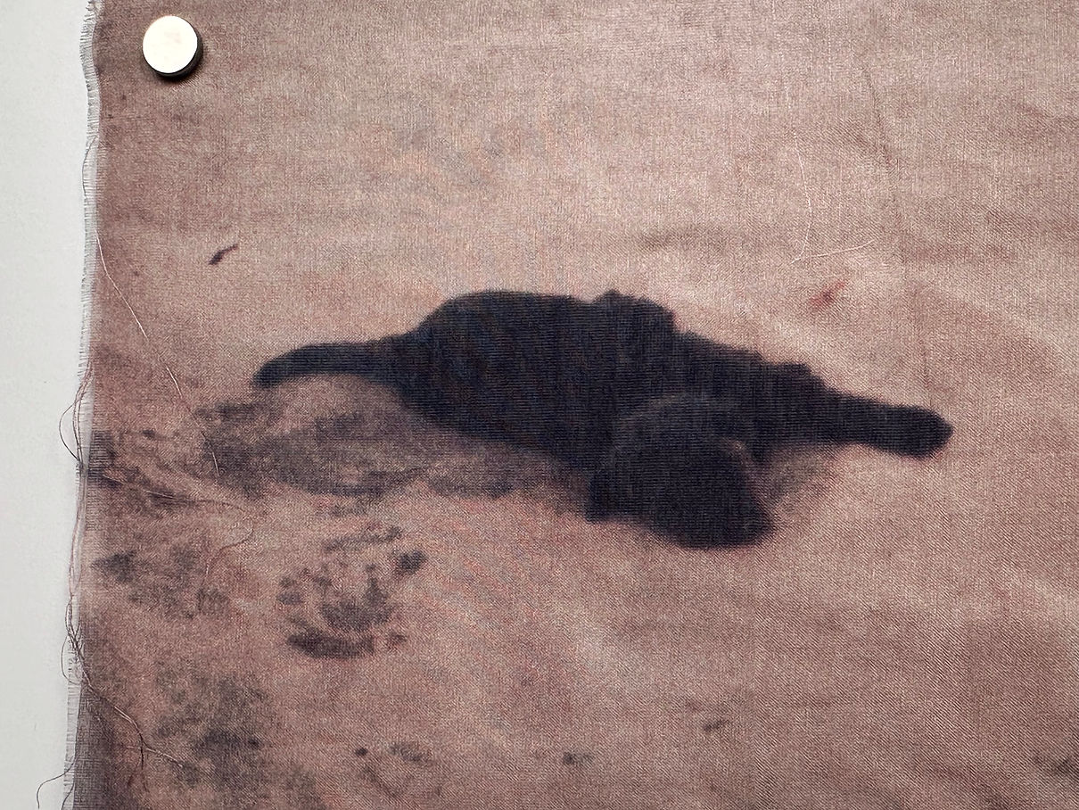 Sashu (detail), 2022, video still printed on crystal voile cotton silk, 8.8 x 5.5 inches.j