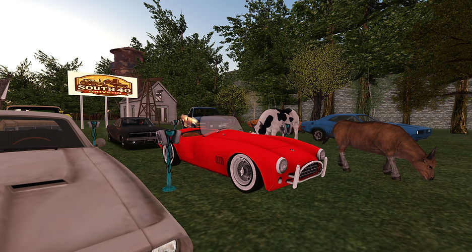 south 40_006.jpg