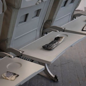 breeding migration-made in…