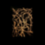 mycelium 2, fungal growth 