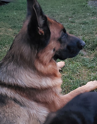 20200805_115148.jpg