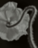 DTS_DEEP_SPA_DTS_Studio_Photos_ID10995.jpg