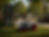 Parks & Public Spaces.png
