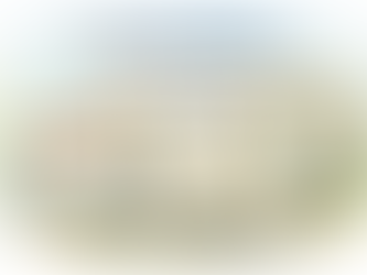 How Often Should You Update Your Estate Plan?