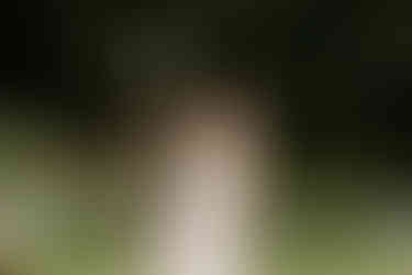 South Wales Wedding Photography at the Ceridwen Centre by South Wales Wedding Photographer