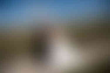 Couple Portraits at a wedding at the Cliff Hotel and Spa by South Wales Wedding Photographer