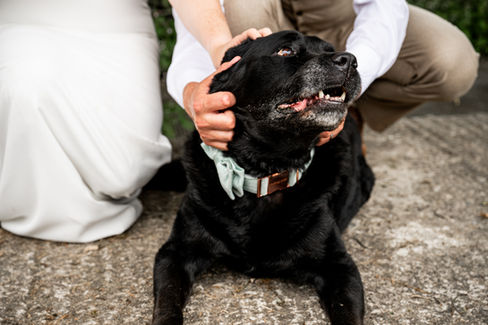 South Wales Wedding Photography at the Ceridwen Centre by South Wales Wedding Photographer