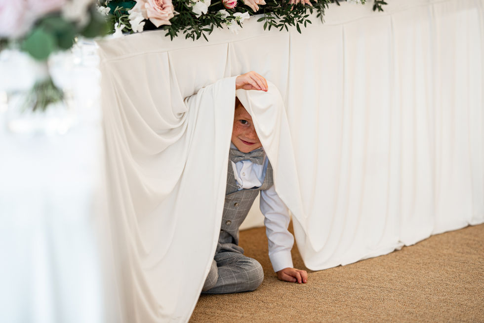 South Wales Wedding Photography at Oldwalls Gower by South Wales Wedding Photographer