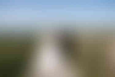 Couple Portraits at a wedding at the Cliff Hotel and Spa by South Wales Wedding Photographer