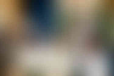 South Wales Wedding Photography at Rhosygilwen by a South Wales Wedding Photographer