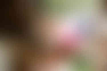 South Wales Wedding Photography at the Ceridwen Centre by South Wales Wedding Photographer