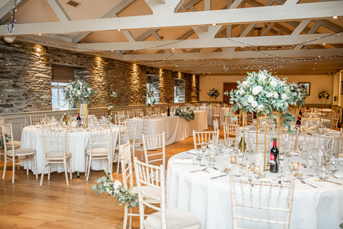 Reception at an Emlyn hotel Wedding by a South Wales Wedding Photographer