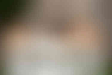 South Wales Wedding Photography at Rhosygilwen by a South Wales Wedding Photographer