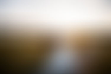 Golden Hour portraits at the Cliff Hotel and Spa by South Wales Wedding Photographer